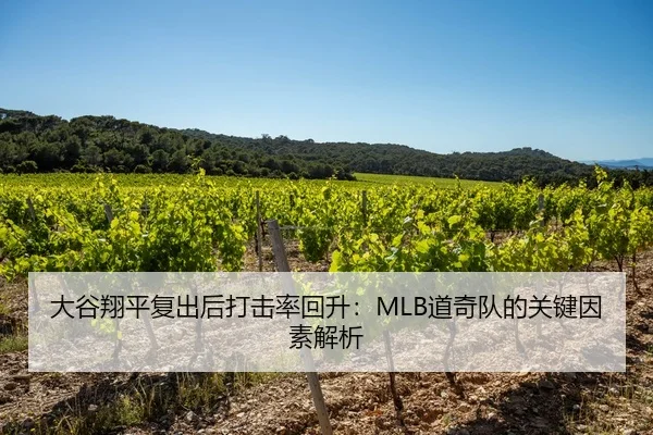 大谷翔平复出后打击率回升：MLB道奇队的关键因素解析