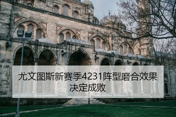 you-wen-tu-si-xin-sai-ji-zhen-xing-mo-he-xiao-guo-jue-ding-cheng-bai-2-241.jpg
