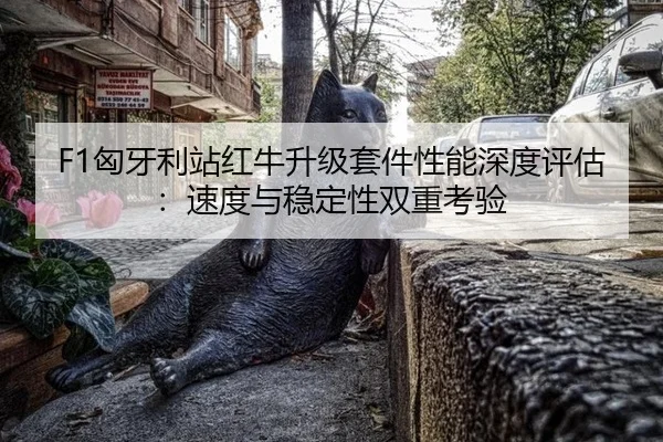 xiong-ya-li-zhan-hong-niu-sheng-ji-tao-jian-xing-neng-shen-du-ping-gu-su-du-yu-wen-ding-xing-shuang-chong-kao-yan-2-303.jpg