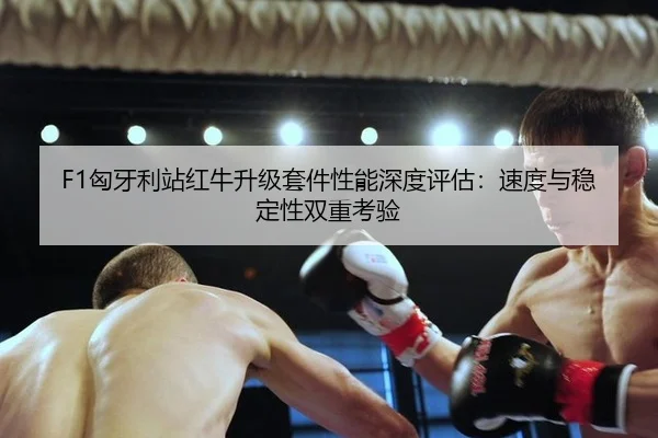 xiong-ya-li-zhan-hong-niu-sheng-ji-tao-jian-xing-neng-shen-du-ping-gu-su-du-yu-wen-ding-xing-shuang-chong-kao-yan-3-343.jpg