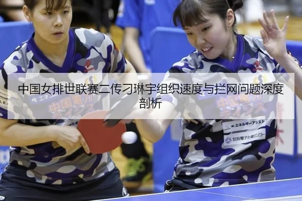 zhong-guo-nv-pai-shi-lian-sai-er-chuan-diao-lin-yu-zu-zhi-su-du-yu-lan-wang-wen-ti-shen-du-pou-xi-3-819.jpg