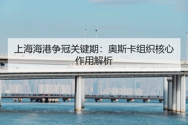 shang-hai-hai-gang-zheng-guan-guan-jian-qi-ao-si-ka-zu-zhi-he-xin-zuo-yong-jie-xi-2-337.jpg