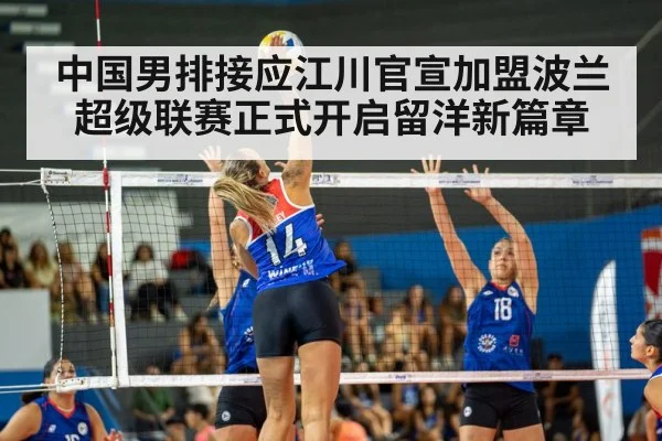 volleyball match